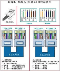 家庭網絡布線指南 網線插座與弱電箱水晶頭接線詳解